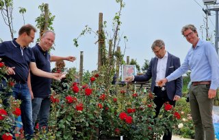 Kweker vernoemt rode roos naar stichting Matchis