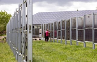 SolarMilk gaat effect verticale zonnepanelen op grasproductie testen