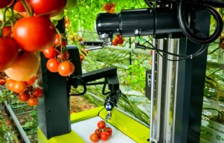 Tomatenplukrobot+voor+het+eerst+te+zien+op+GreenTech
