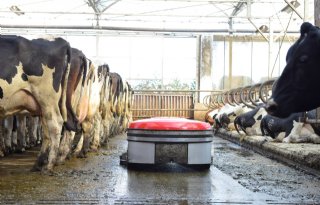 Veehouderijsectoren bieden Staghouwer plan voor emissiereductie