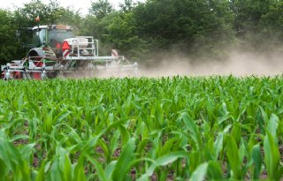 Nieuwe machine dient mest toe in mais tijdens onderzaaien