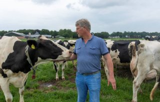Melkveehouder+Van+Burgsteden%3A+%27Stikstofplannen+verstoren+evenwicht+in+regio%27
