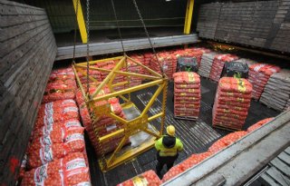 Export Nederlandse uien 50.000 ton lager