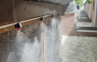 Promotieonderzoek hittestress levert hitteplan voor varkens op