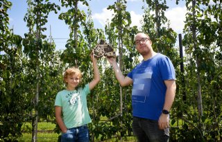 Scholieren maken insectenhotels voor Limburgse boomgaard