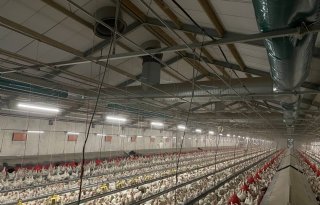 'Emissiereductieplan veehouderij in heel Nederland toepassen'