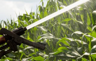 Neerslagtekort leidt vooralsnog niet tot droogtestress bij boeren