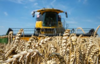 USDA verwacht wereldwijd recordoogst aan tarwe