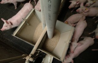 Varkensvleesketen is klaar voor milieulabel
