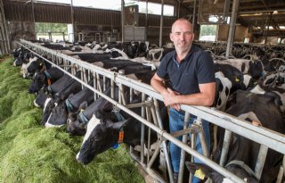 Luc Diepman wil koeien een lang en gezond leven geven