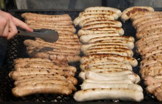 Italië probeert opnieuw verbod op kweekvlees