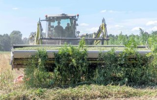 Friesland wil vooroplopen in biobased bouwen