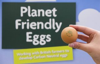 Britse supermarkt levert CO2-neutrale eieren