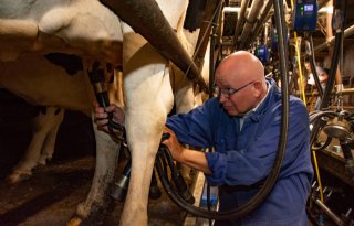 Minister Staghouwer krijgt 'les' op melkveebedrijf