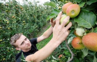 19-jarige ondernemer ziet toekomst in fruitteeltbedrijf