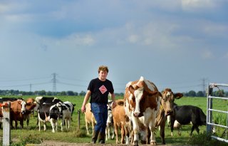 Dolf Heikoop: 'We zijn bewust gestopt met kaas maken'