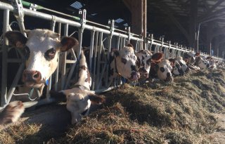 Druk op Franse supermarkten om melkprijs te verhogen