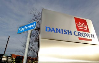 Danish Crown hanteert nieuwe berekeningsmethode, vleespercentage varkens daalt