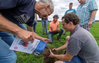 Kringloopboeren in Overijssel voeren meer eiwit uit gras