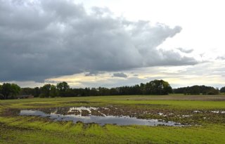 Oplossingen voor bodemdaling Flevoland worden gezocht in gebiedsproces