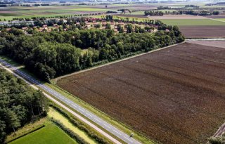 Flevoland%3A+boerenplannen+leveren+helft+stikstofdoelstelling+op