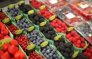 Doek valt in 2023 voor klokverkoop FruitMasters