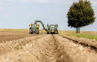 EU oogst iets minder aardappelen en suikerbieten dan in 2021