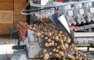 Aardappelverwerkers maken pas op de plaats