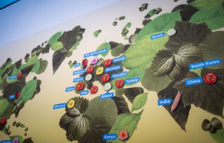 Ondernemer voelt druk van handelsbeleid VS; tuinbouwreputatie blijft troef