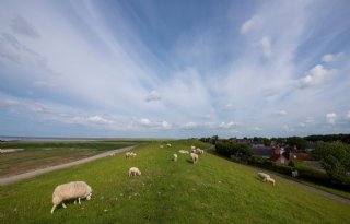 Noorderzijlvest: 190 miljoen euro aan ingrepen nodig rond Lauwersmeer