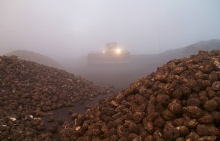 Suikerfabriek in Vierverlaten kampt met stroomstoring