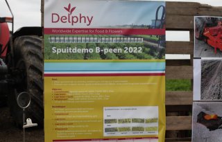 Delphy+breidt+uit+naar+Verenigde+Staten