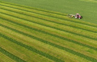 'Boeren kunnen geld verdienen met vastleggen van koolstof in grasland'