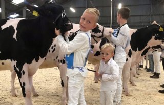 Jong talent van belang voor toekomst Friese veekeuring