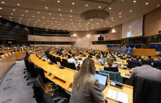 Commissies Europarlement zoeken compromis over uitstoot veeteelt