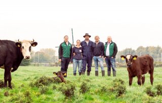 Melkvee- en vleesveehouder werken samen in kalf-bij-de-koeproject