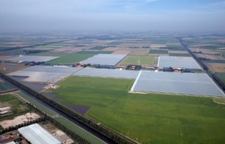 Noord-Holland keert zich tegen komst datacenter bij glastuinbouw De Kwakel