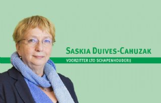 Lichtgevende+schapen%3F