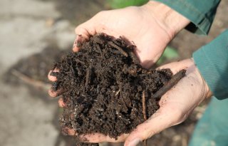 Compost+verhoogt+weerbaarheid+tegen+bodemgebonden+ziekten