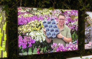 Hazeu Orchids winnaar Greenovation Award