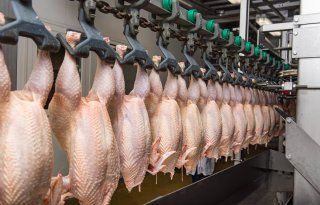 Vleesmarkten EU en China veranderen komende tien jaar
