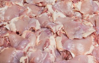 Chinees pluimvee- en konijnenvlees voldoet niet aan Europese standaard