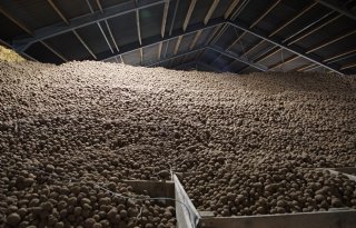 Wankele basis voor fritesnotering in categorie I