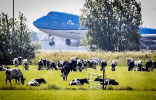 Schiphol kocht al voor miljoenen euro's stikstofruimte van boeren