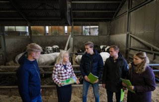 Brabant biedt jonge boeren toekomstperspectief
