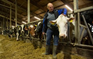 Topmelker Wilco Dogger tevreden over verkoop fokvee