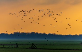 Deugt inpassingsplan Overijssel niet of is het kwestie van perceptie?