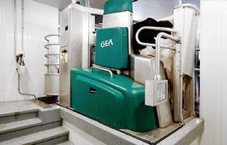 Meer melkrobots door hoge melkprijs Vlaanderen