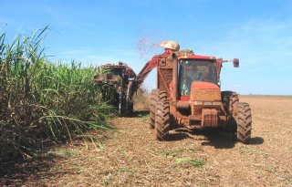 El Niño beheerst nog steeds stemming op de suikermarkt
