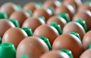 EU heft importtarieven op Oekraïense eieren